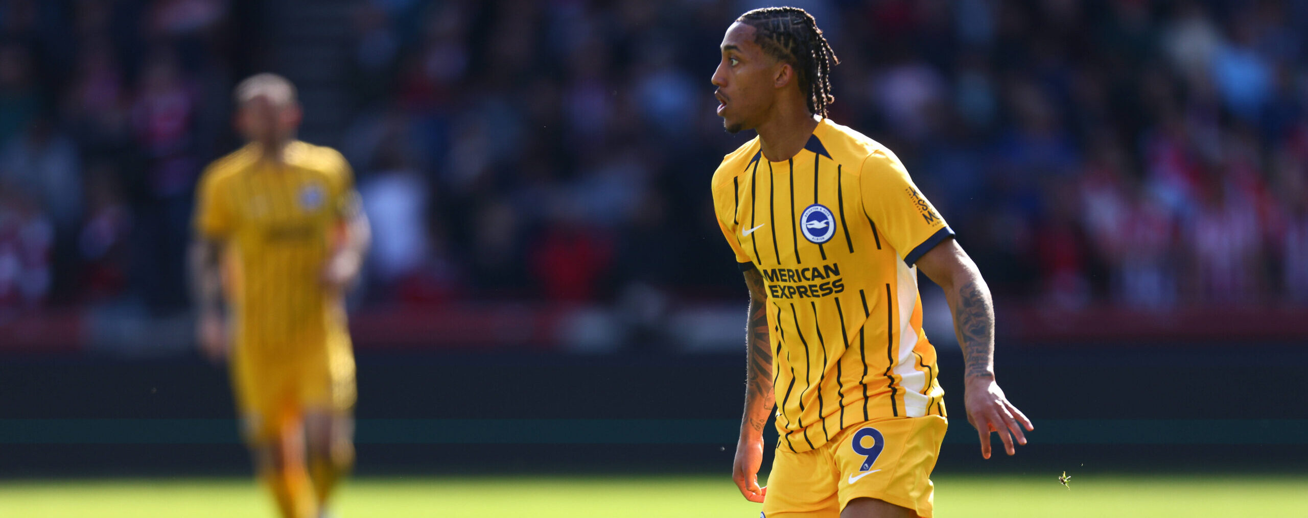 Joao Pedro transfer rumours 2025: Brighton star dropped after training bust-up - Football Place