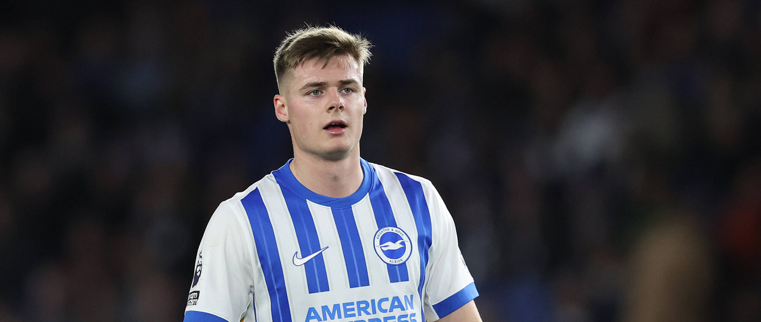 Evan Ferguson in action for Brighton in the Premier League 2024