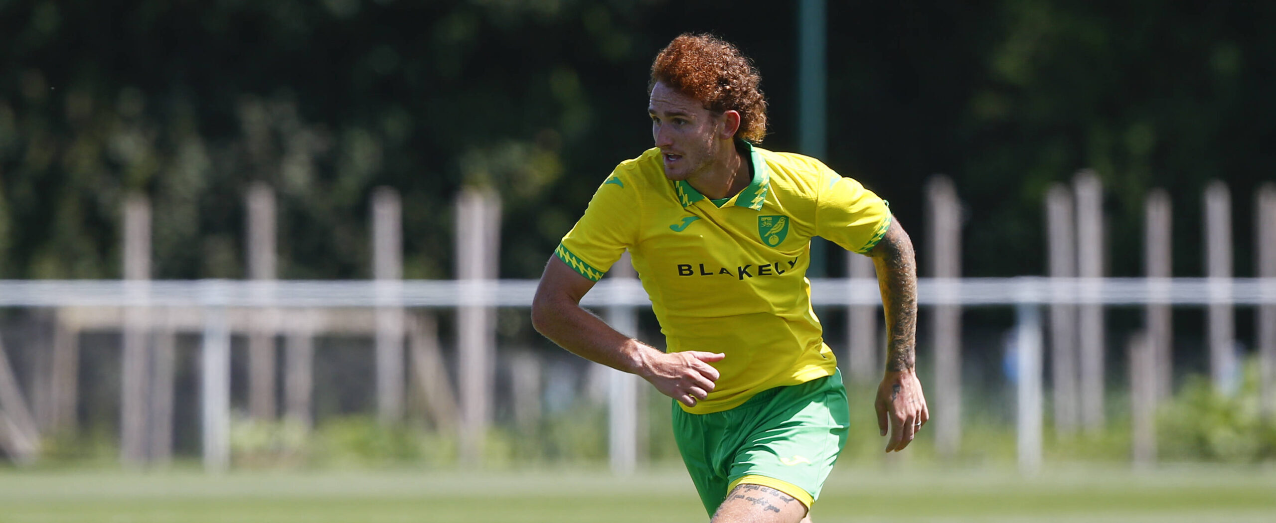 Josh Sargent in action for Norwich City in 2025