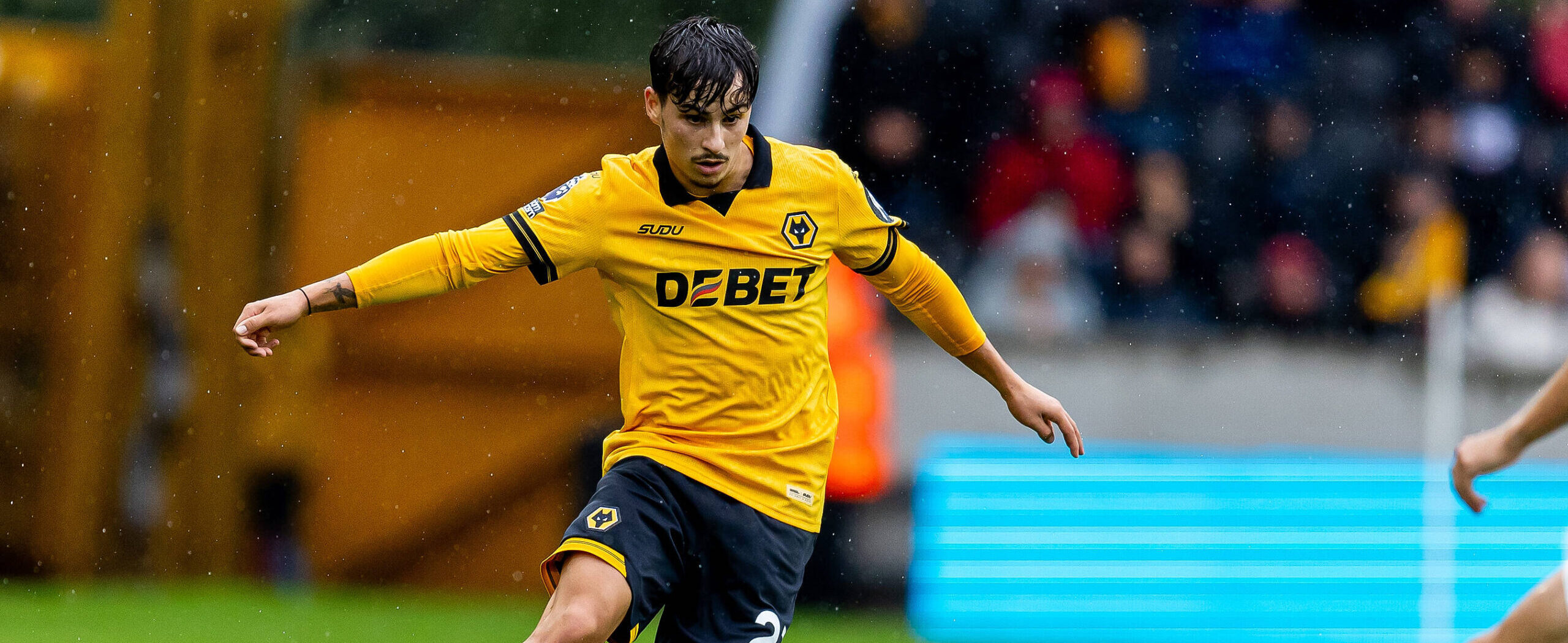 Rodrigo Gomes in action for Wolves