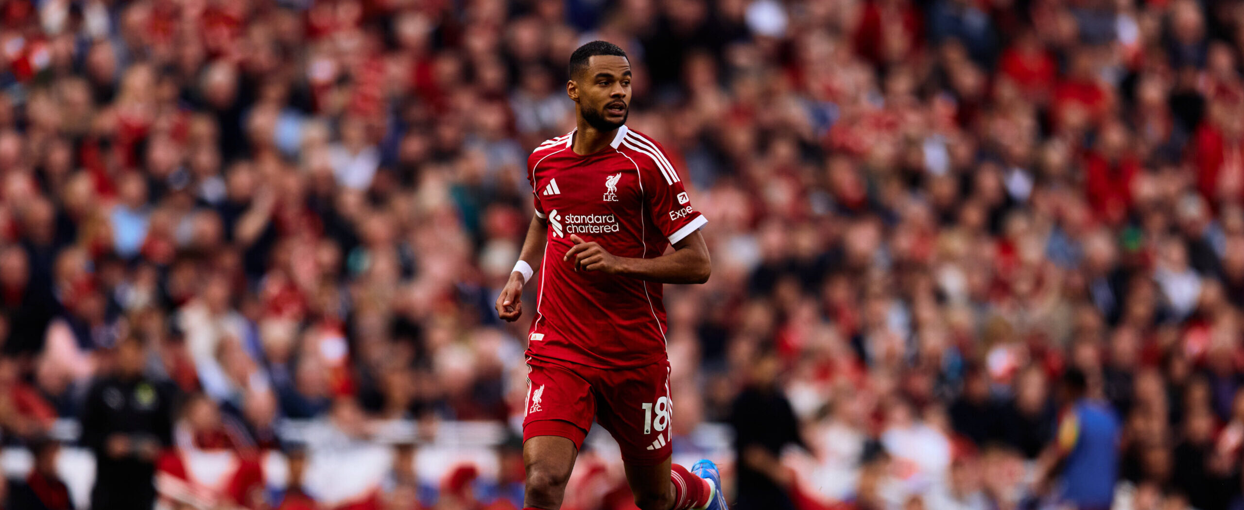 Cody Gakpo in action for Liverpool in 2025/26 season