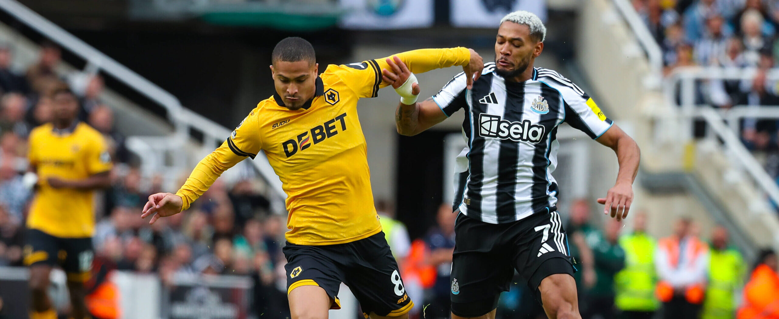 João Gomes in action for Wolves in 2025