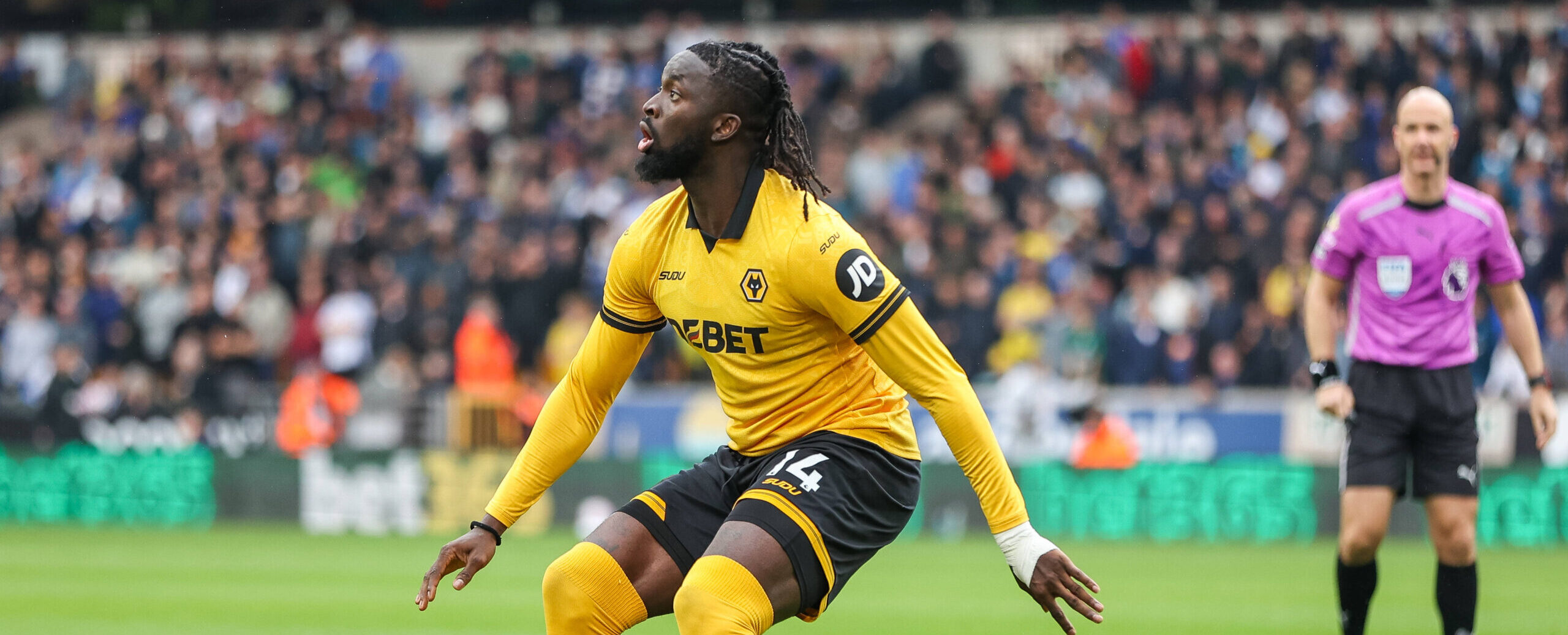 Tolu Arokodare in action for Wolves