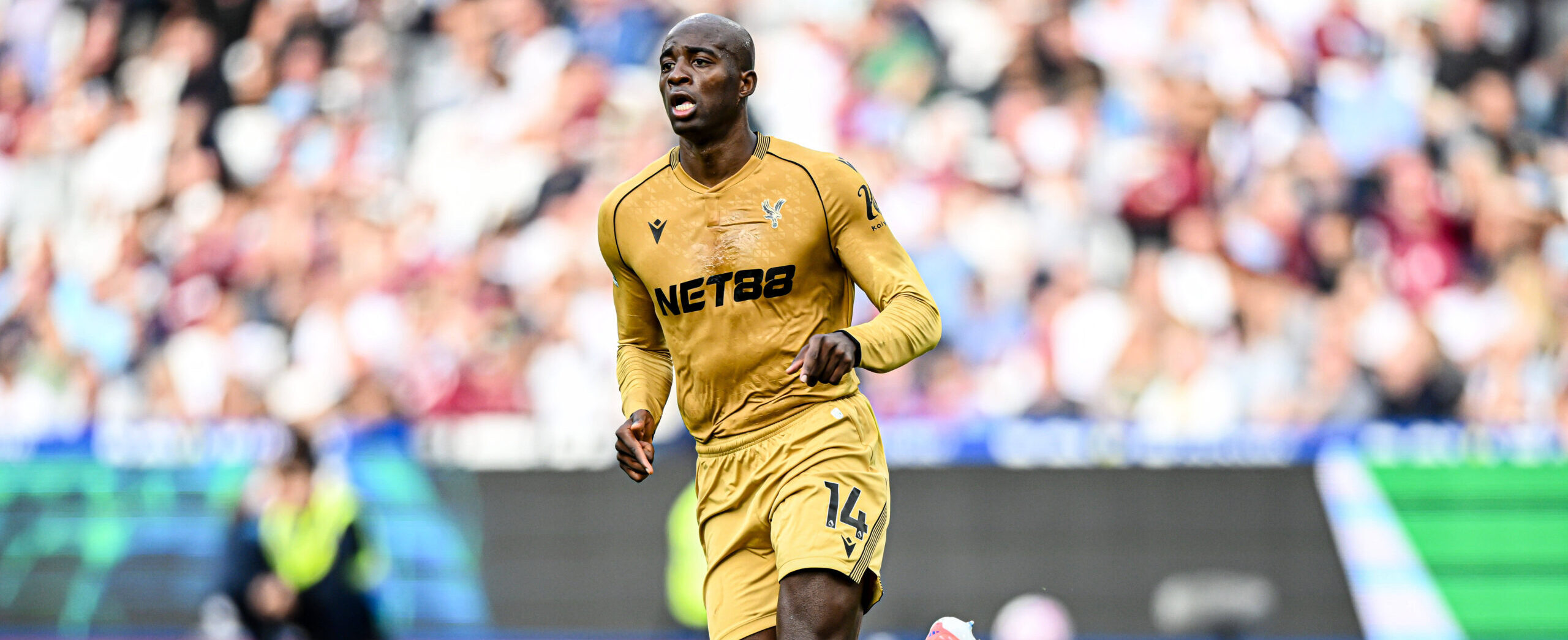 Mateta in action for Crystal Palace in 2025