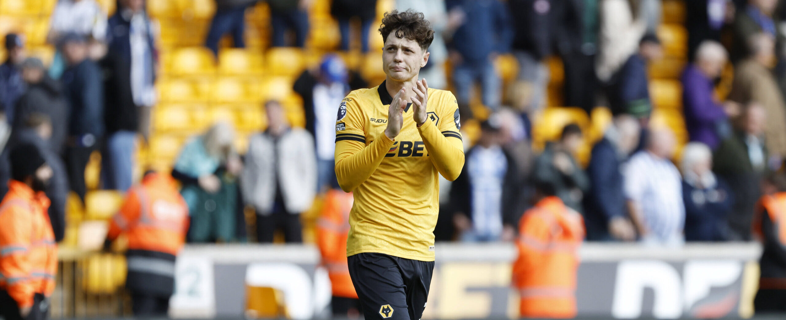 Ladislav Krejci in action for Wolves