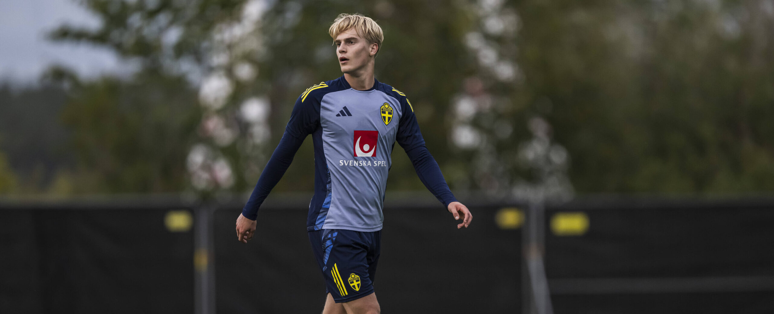 Lucas Bergvall in action for Sweden in 2025