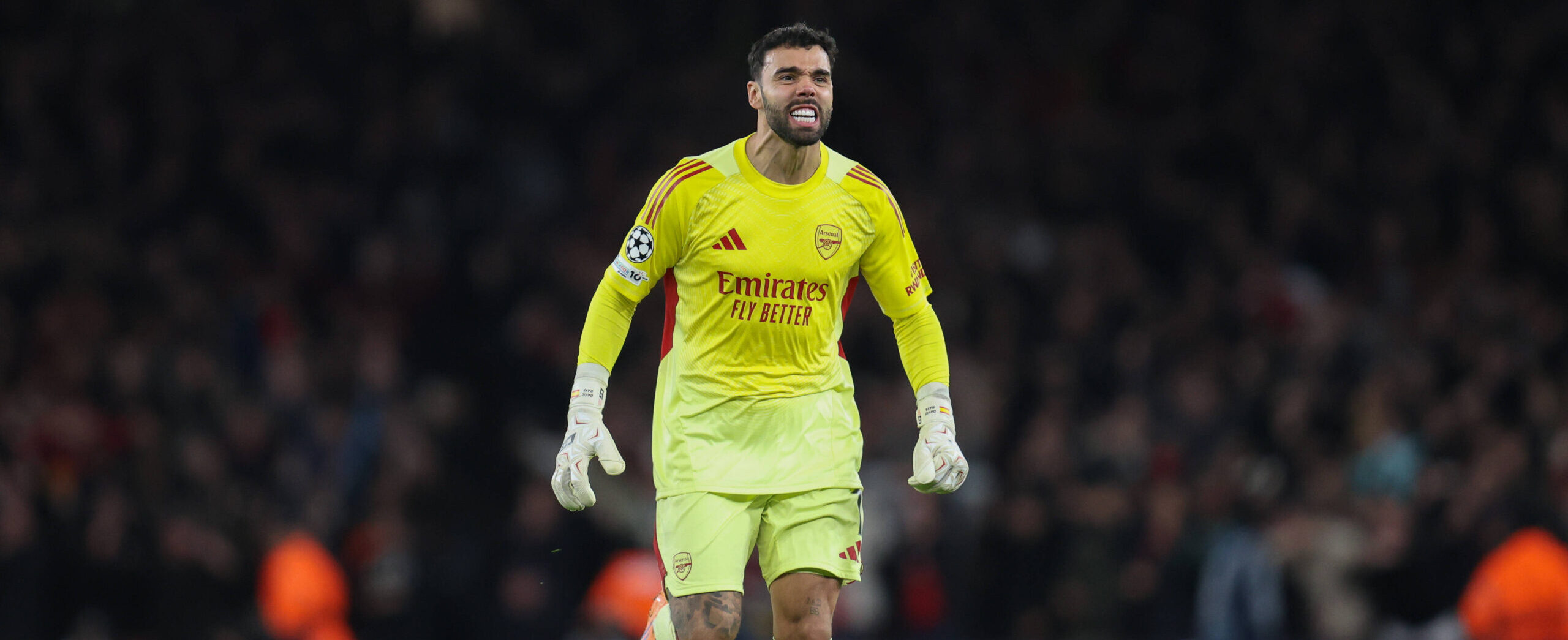 David Raya in action for Arsenal in 2025