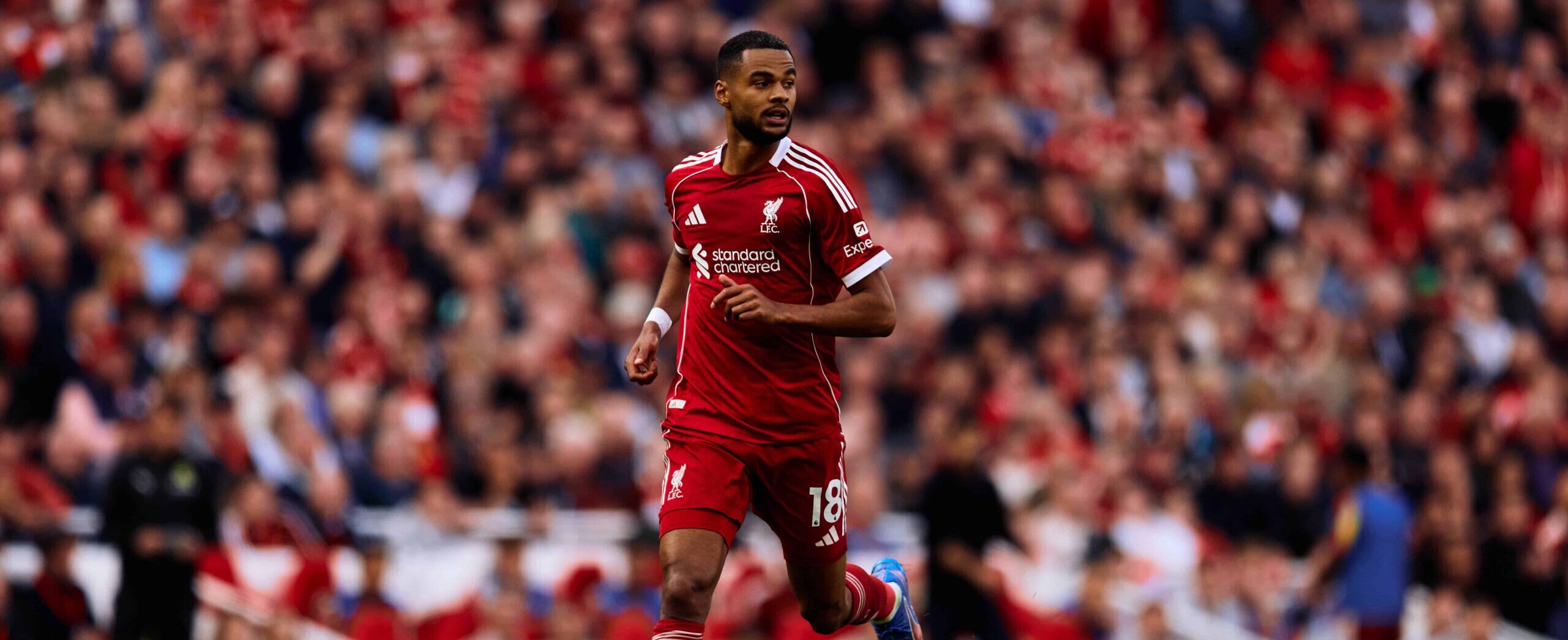 Cody Gakpo in action for Liverpool in 2025/26 season