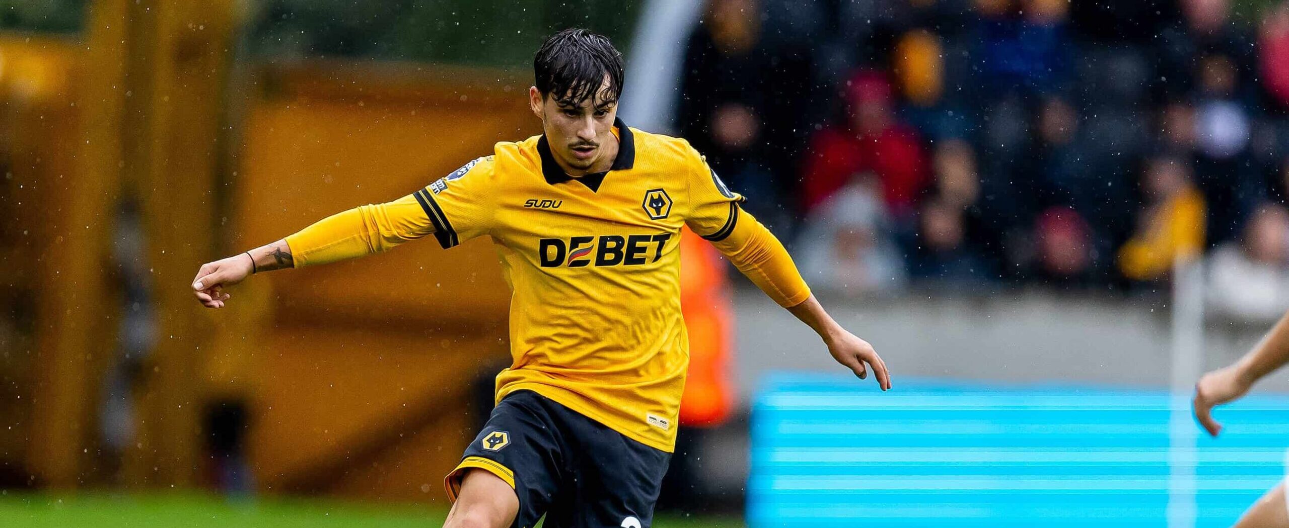 Rodrigo Gomes in action for Wolves