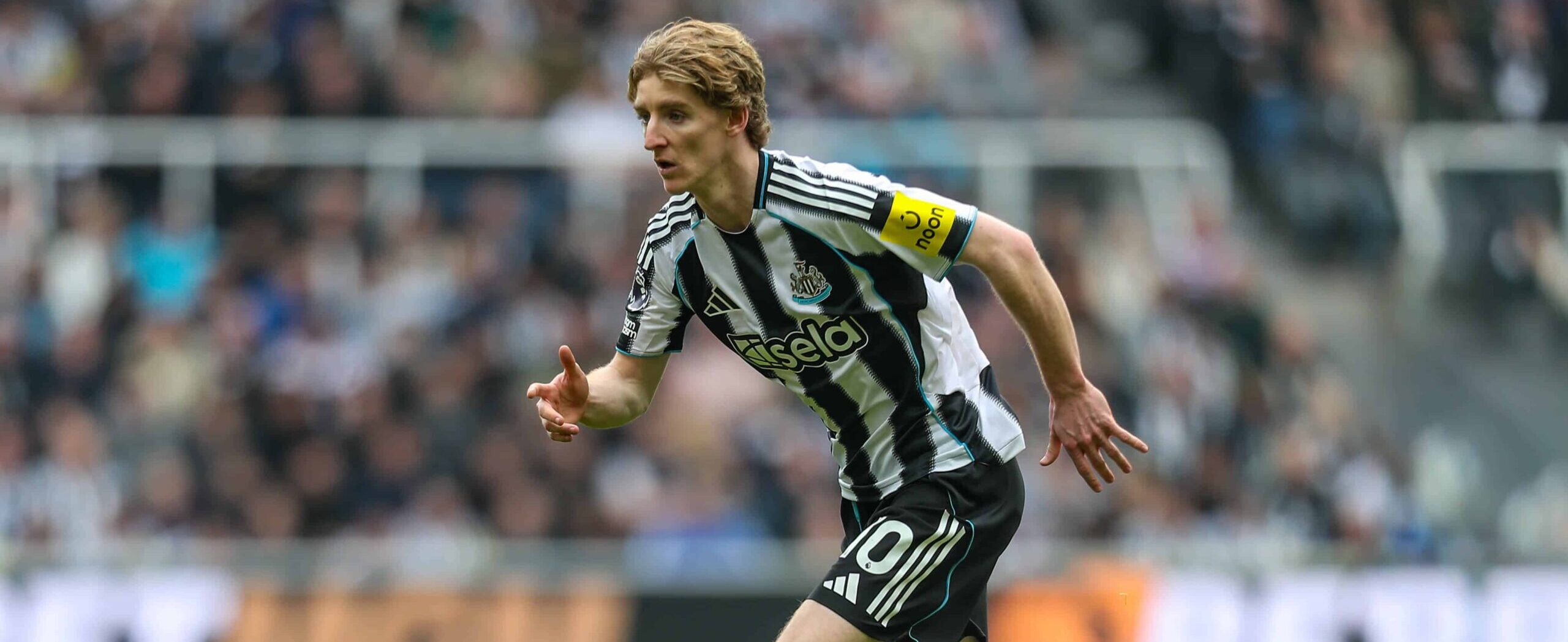 Antony Gordon in action for Newcastle in 2026