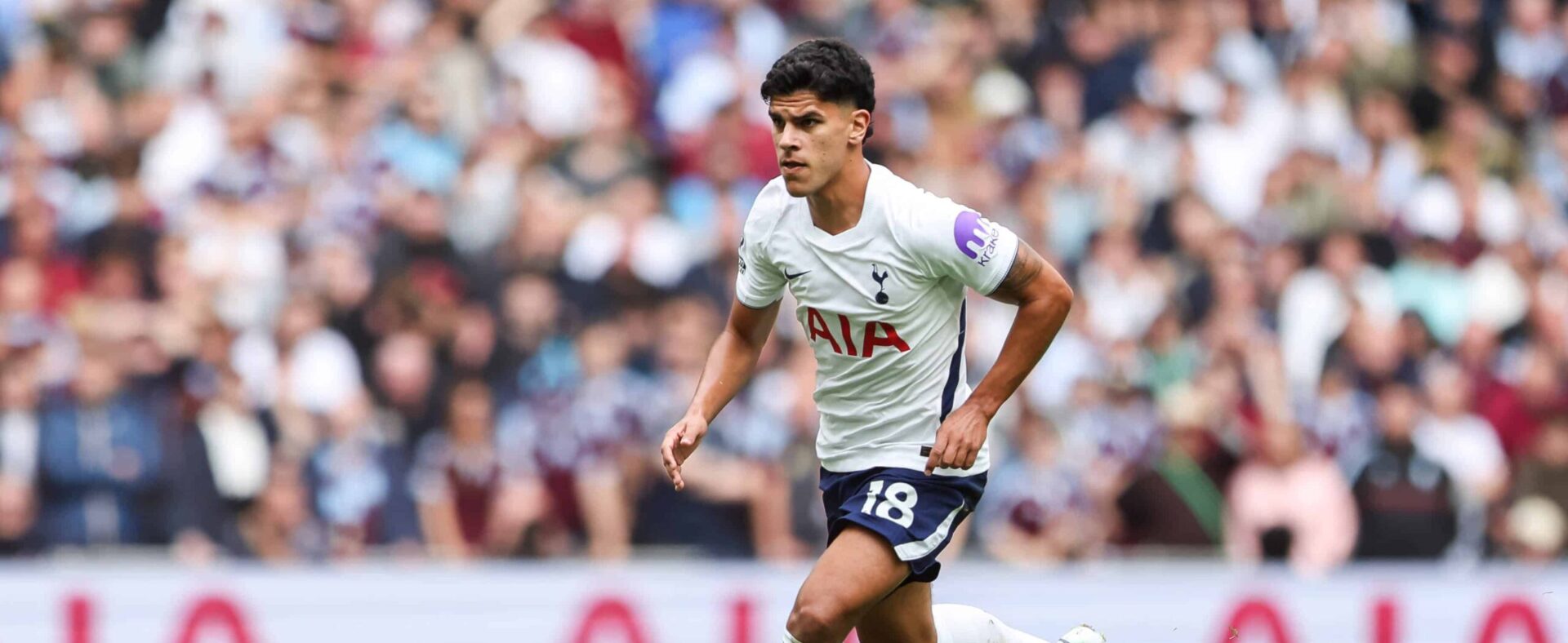 Mateus Fernandes strengthens Tottenham starting claim after Chelsea ...